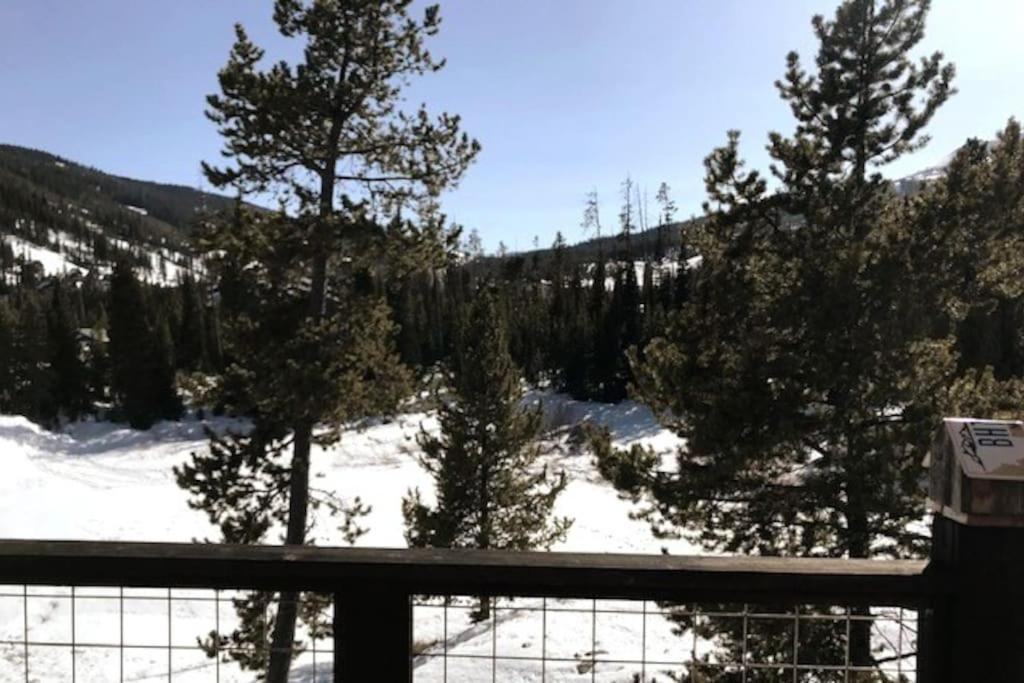 Sporty Mountain & Lake View 3Rd Floor Studio Big Sky Extérieur photo
